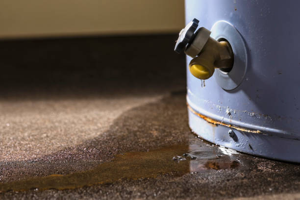 Best Residential water damage restoration  in Garretson, SD