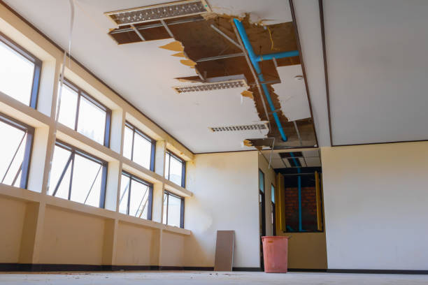 24/7 water damage repair in SD
