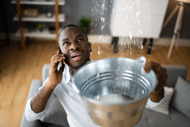 Best Ceiling water damage repair  in Garretson, SD