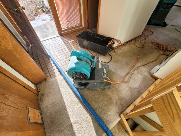 Best Mold removal after water damage  in Garretson, SD