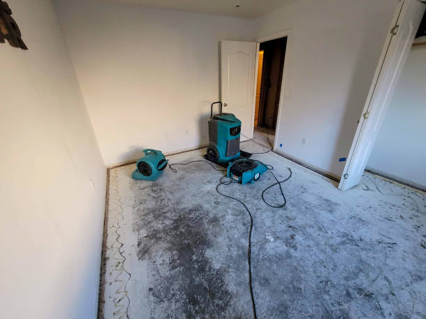 , SD Water damage restoration Company