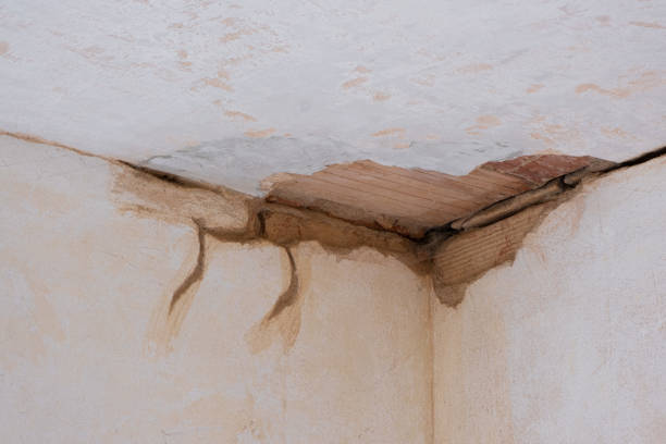 Best Basement water damage restoration  in Garretson, SD