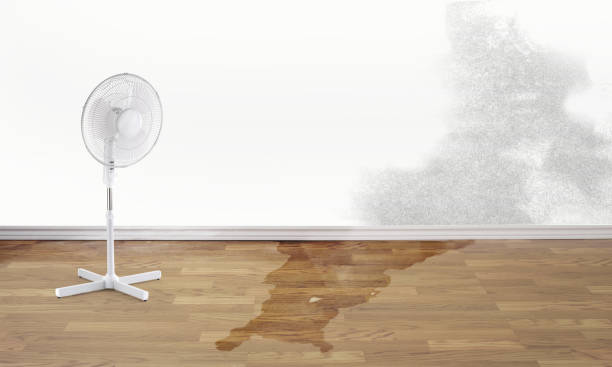 Best Water damage restoration cost  in Garretson, SD