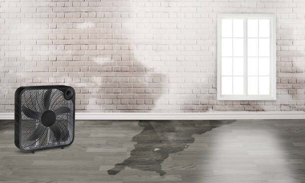 Best 24/7 water damage repair  in Garretson, SD