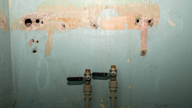Best Basement water damage restoration  in Garretson, SD