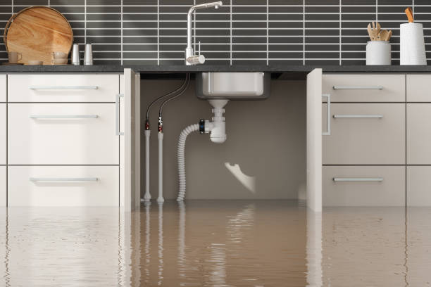 Best Water damage repair service  in Garretson, SD