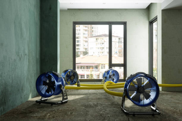 Best Carpet water damage restoration  in Garretson, SD